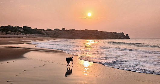 Sunrise - Commodore Point